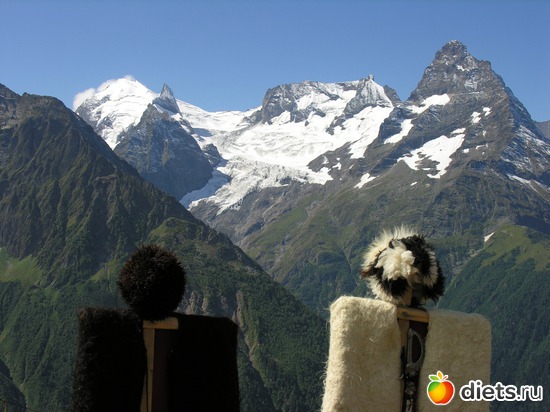 26 ����: ������