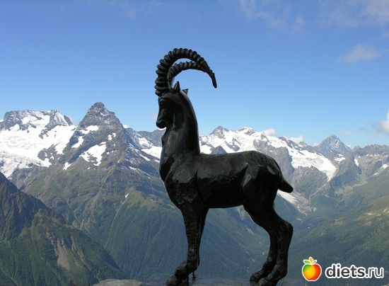 27 ����: ������