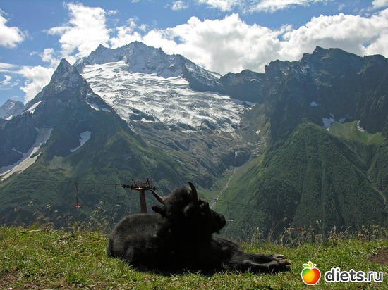 28 ����: ������