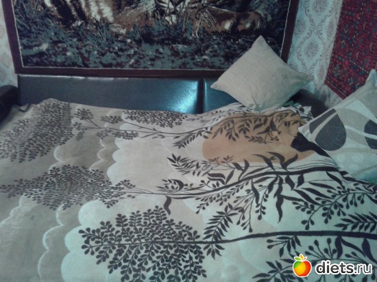 ���� 5, ������: ����� ��������� ����-����