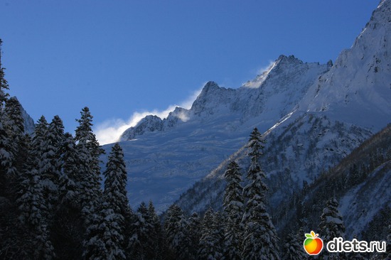 31 ����: ������