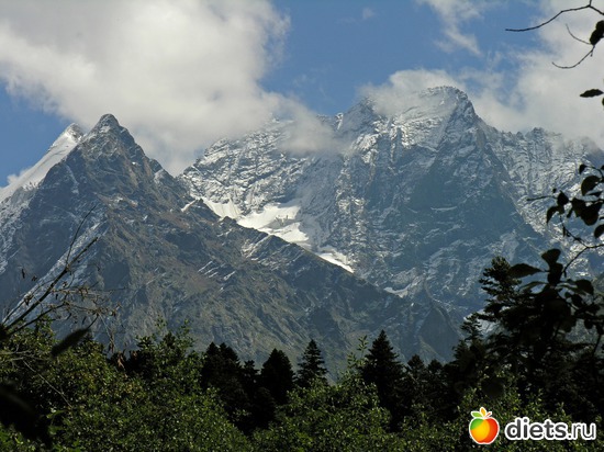 33 ����: ������