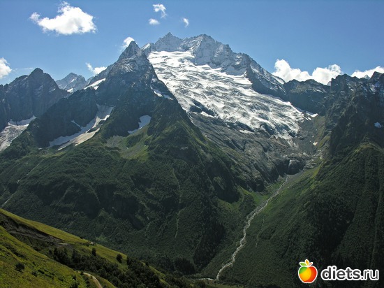 36 ����: ������