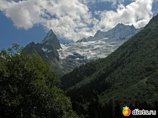 37 ����: ������