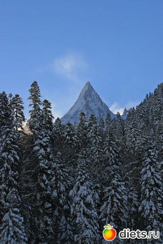 39 ����: ������