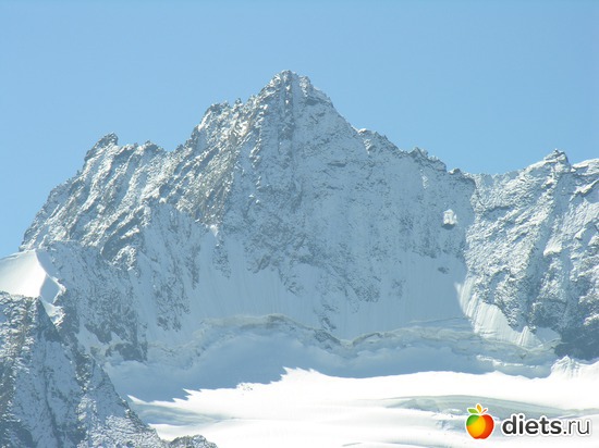 40 ����: ������