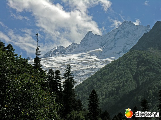 41 ����: ������