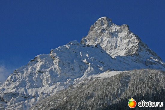 43 ����: ������