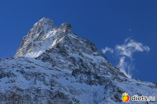 44 ����: ������