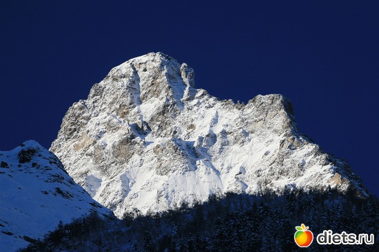 45 ����: ������