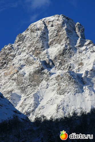 46 ����: ������