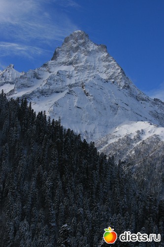 47 ����: ������