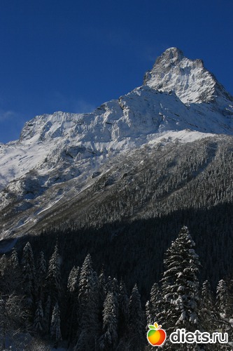 48 ����: ������