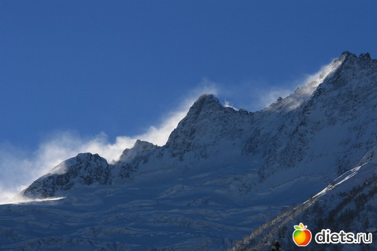 49 ����: ������