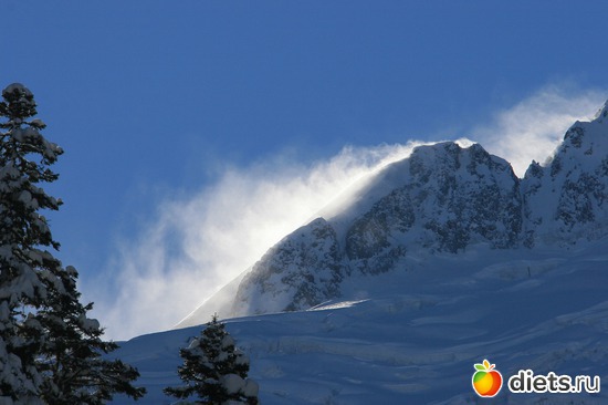 50 ����: ������