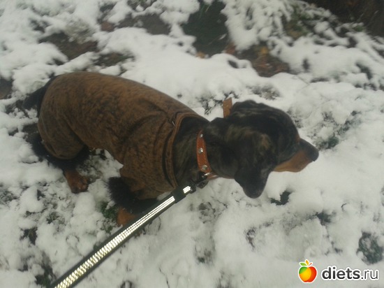 17 ����: ����� 2013 � ������...