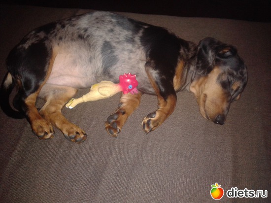 18 ����: ����� 2013 � ������...