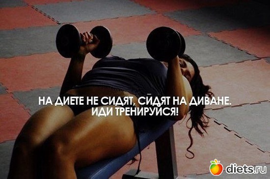 17 ����: ��� ���������