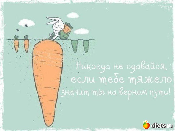 20 ����: ��� ���������