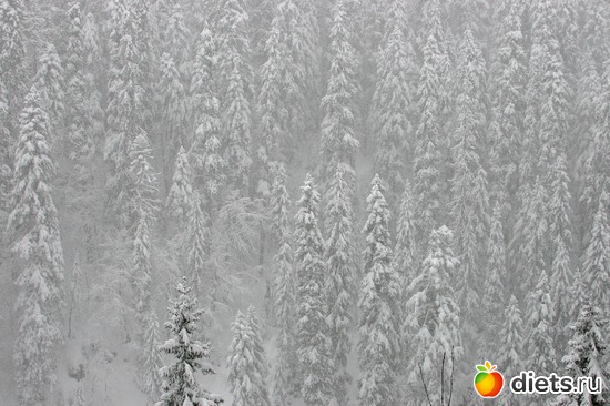 2 ����: ������