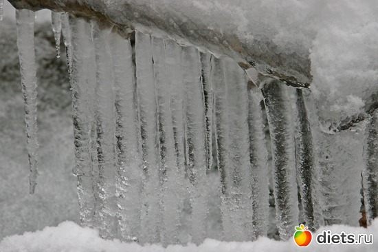 3 ����: ������