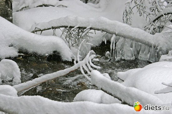 4 ����: ������