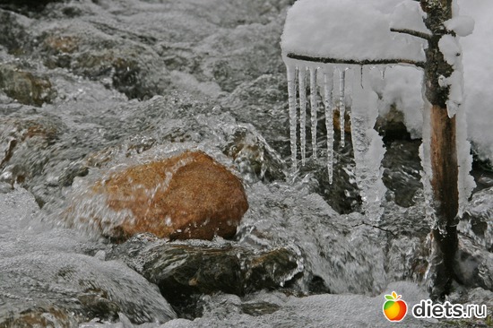 5 ����: ������