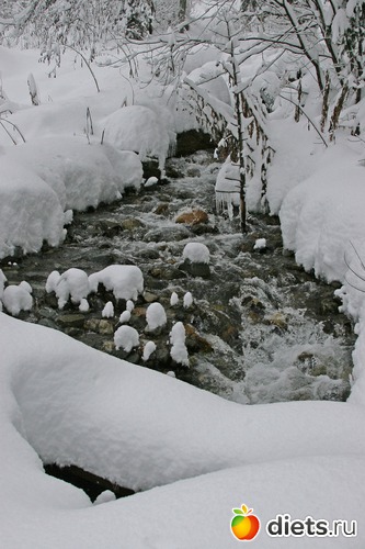 6 ����: ������