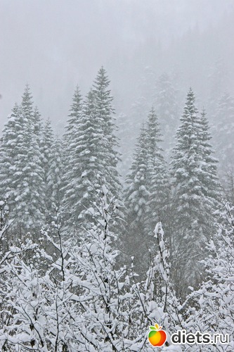 7 ����: ������