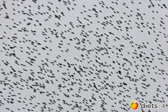 8 ����: ������