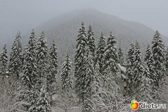 9 ����: ������