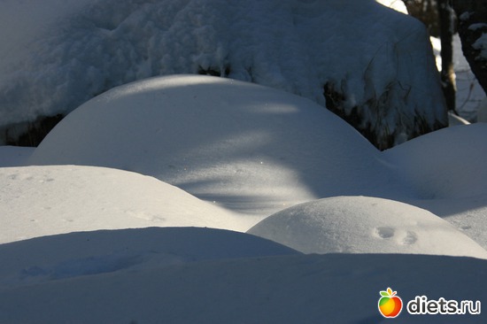 13 ����: ������