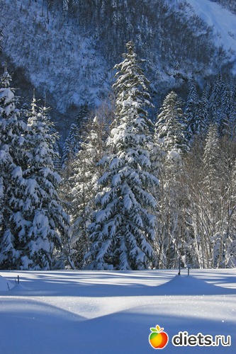 14 ����: ������