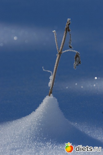 15 ����: ������