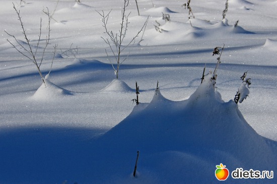 16 ����: ������