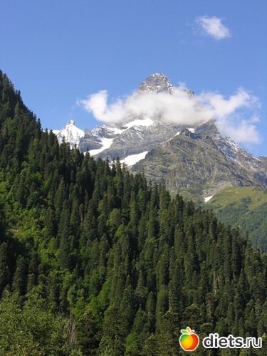 18 ����: ������