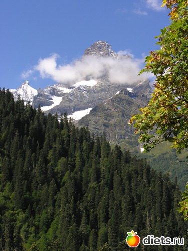 19 ����: ������