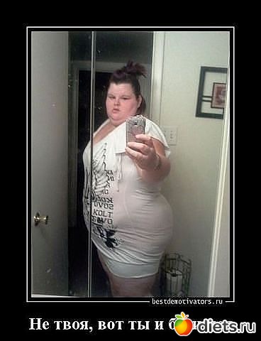 ��� ���������