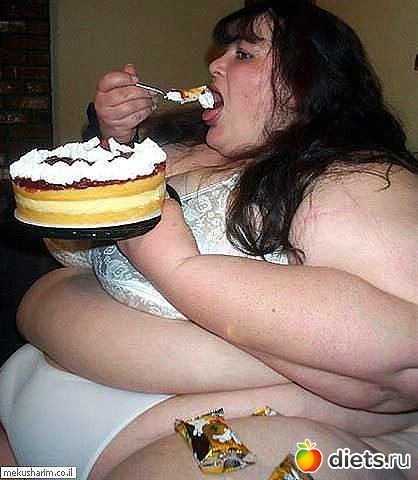 ��� ���������