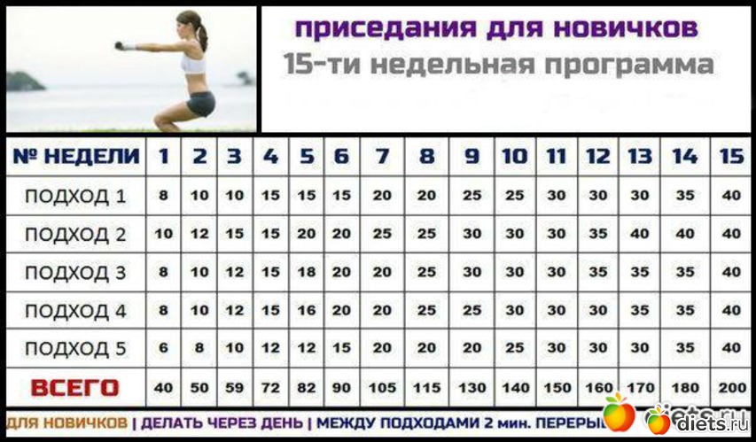 14 ����: ��� ���������