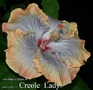 086 - Creole Lady