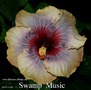 088 - Swamp Music