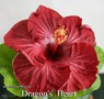 089 - Dragon's Heart