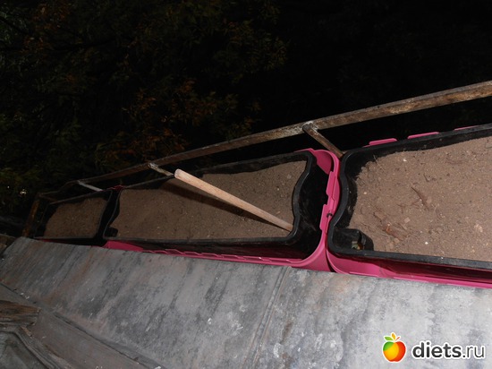 17 ����: ����-����