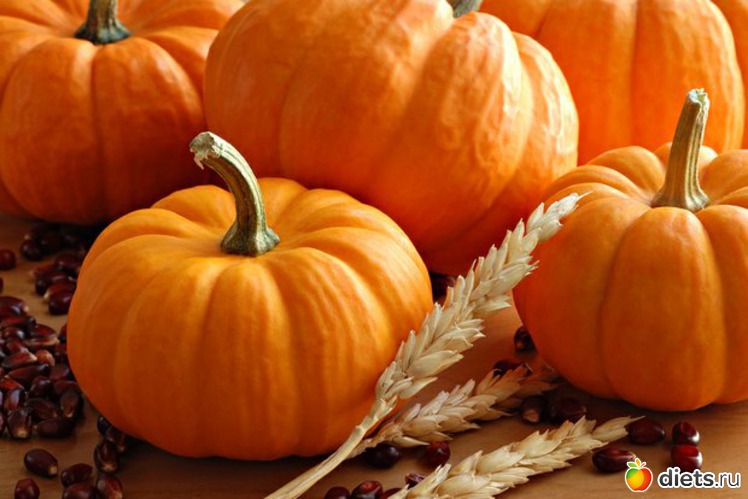 11 ����: ������� ����