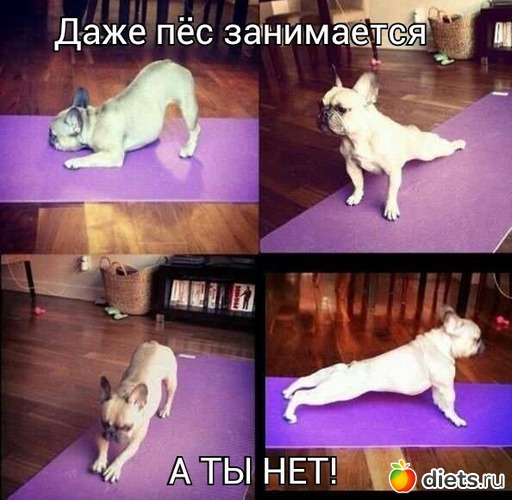 6 ����: ���������-�������