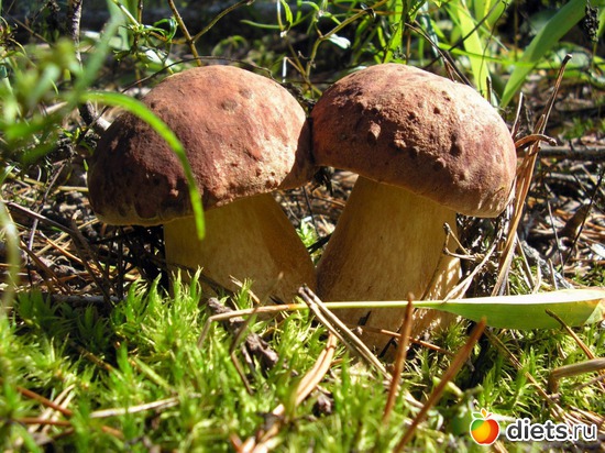 1 ����: ����� � �������� 2013 ���