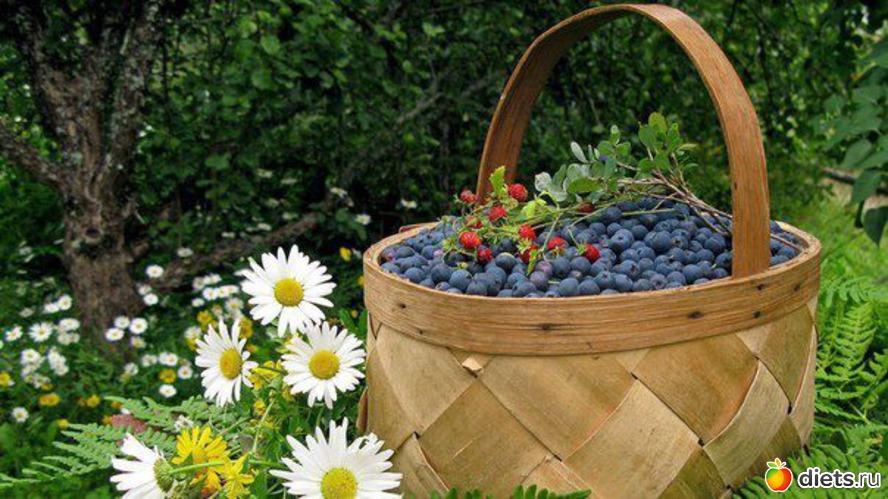 3 ����: ����� � �������� 2013 ���