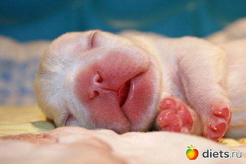 �������� ���� ��������