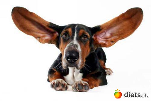 ��� - ������ ��������� ����